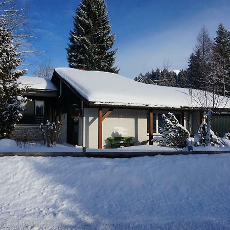 Haus Sonnenalm Villa Bad Mitterndorf Kültér fotó